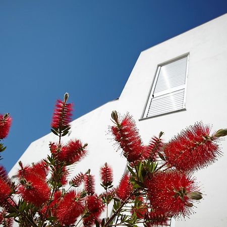 Canvas Apartments&Lofts Cadaqués Eksteriør bilde