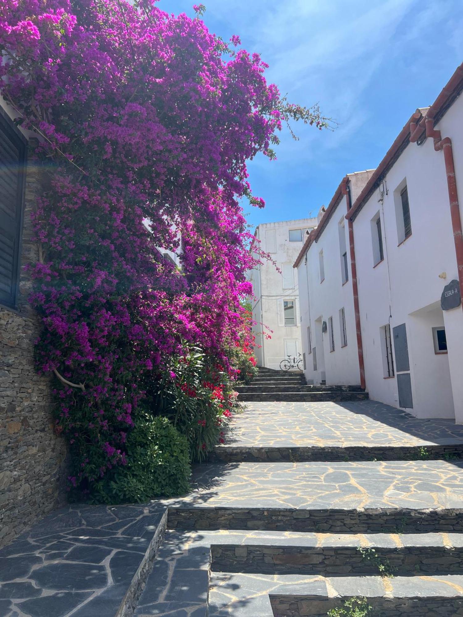 Canvas Apartments&Lofts Cadaqués Eksteriør bilde